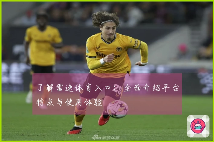 了解雷速体育入口：全面介绍平台特点与使用体验