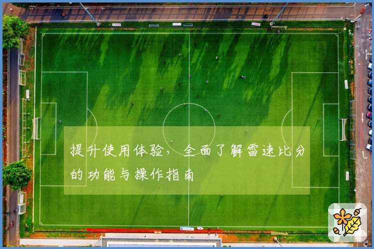 提升使用体验，全面了解雷速比分的功能与操作指南