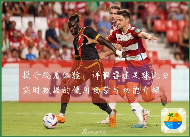 提升观看体验，详解雷速足球比分实时数据的使用场景与功能介绍